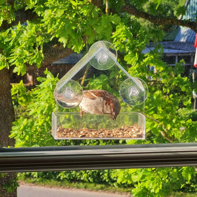 FensterVogelzauber – Das Klare Vogelhäuschen für Zuhause