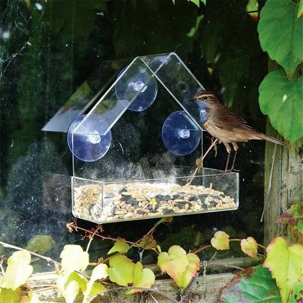 FensterVogelzauber – Das Klare Vogelhäuschen für Zuhause